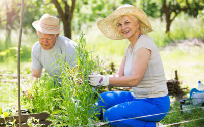 Bring On the Spring!