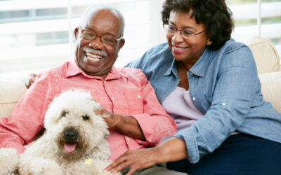 Pets and Seniors – A Great Combination